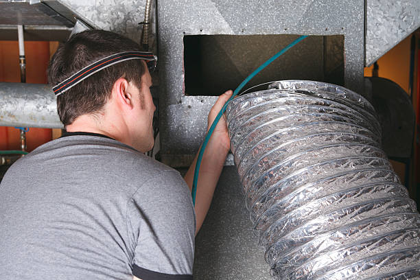 Air Duct Mold Removal in AL
