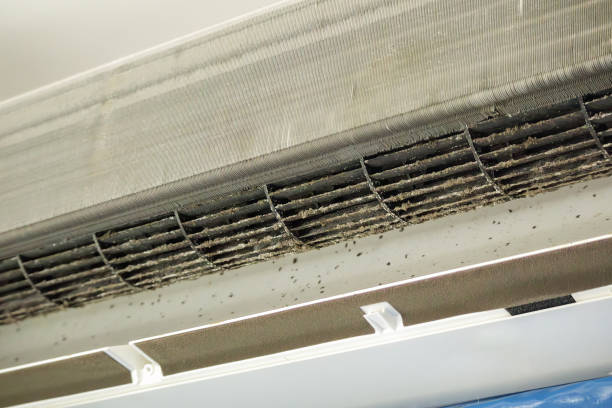 Best Affordable Air Duct Cleaning  in Helena, AL
